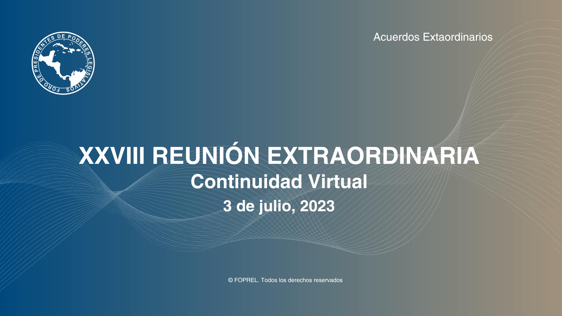 XXVIII Reunión Extraordinaria